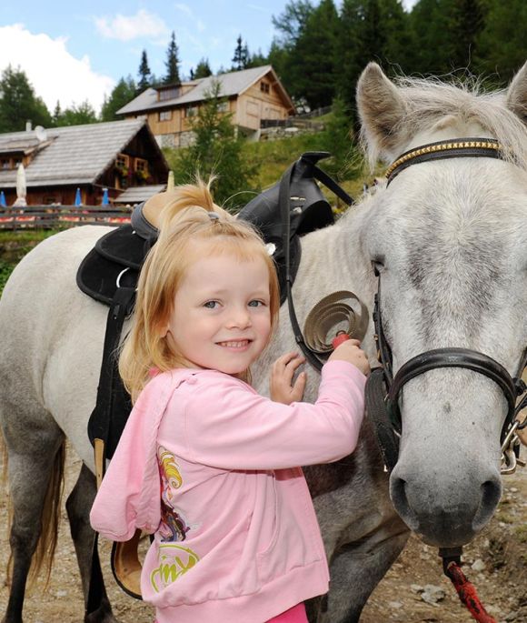 Pony meadows in Gontal