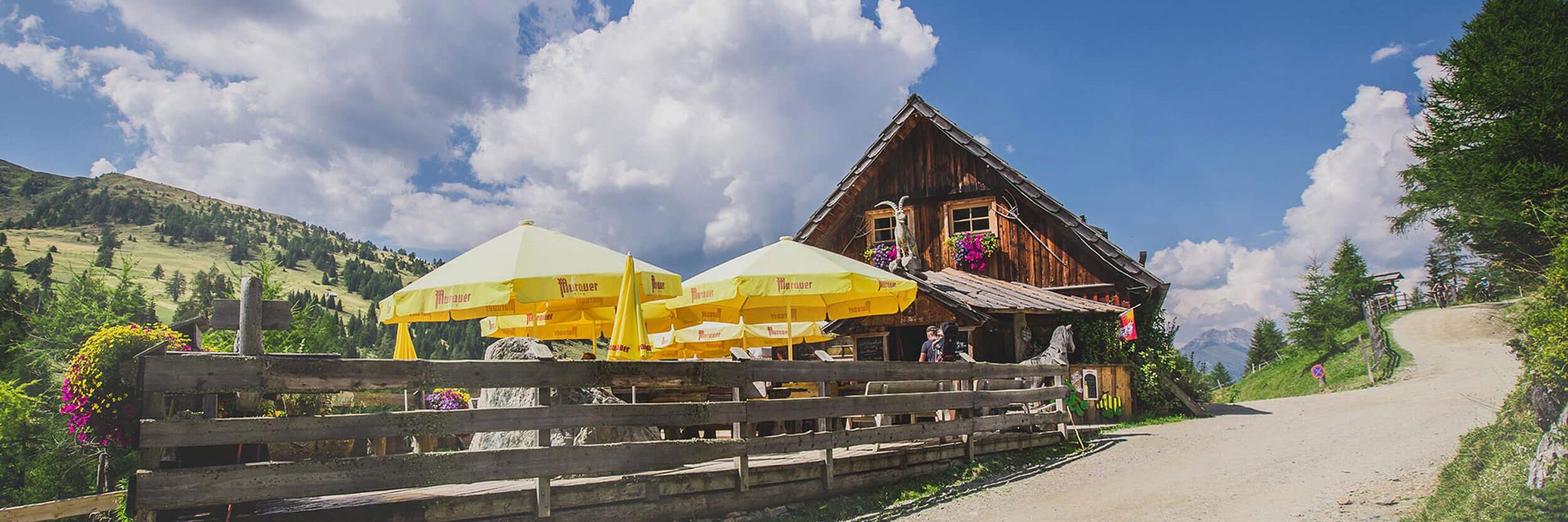 Pritzhütte with Pony meadow